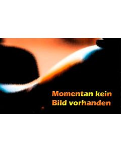 Visiermechanik VPS MT weiss N101/100/X1002/1001